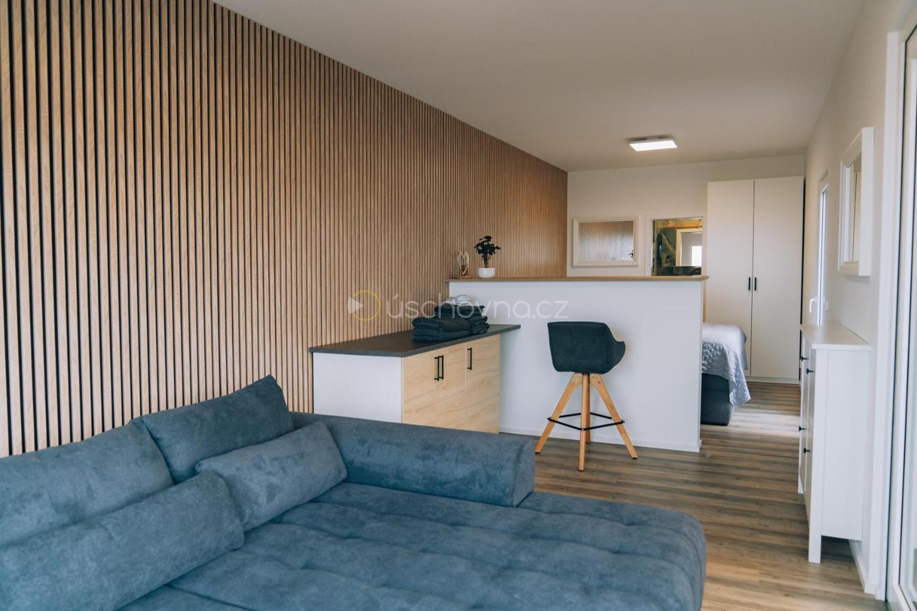 Airport Luxury Apartment & Spa Praha Rom bilde